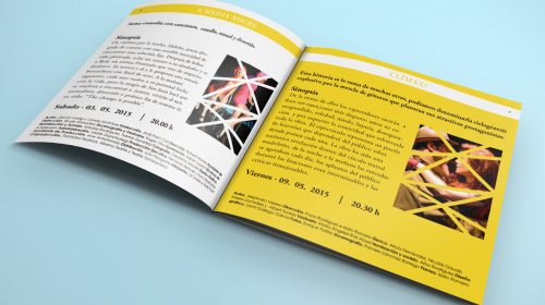 Diseño libro informativo en Málaga